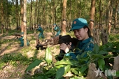 Self-defense militiawomen in training